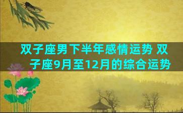 双子座男下半年感情运势 双子座9月至12月的综合运势
